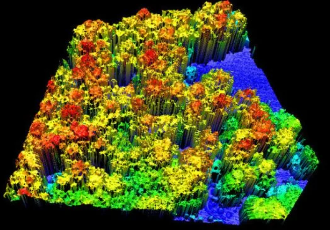 3D Scan
